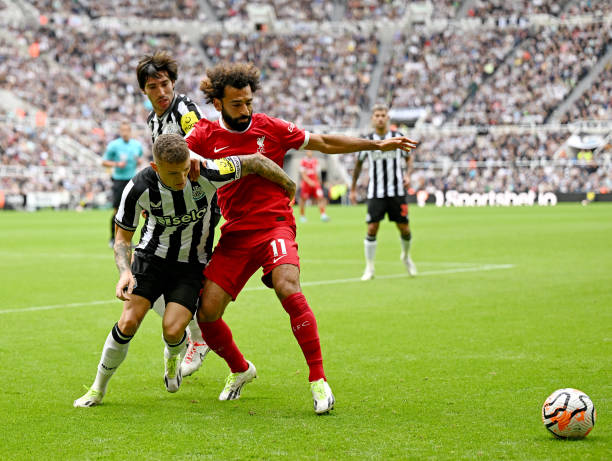 格列兹曼 格列兹曼