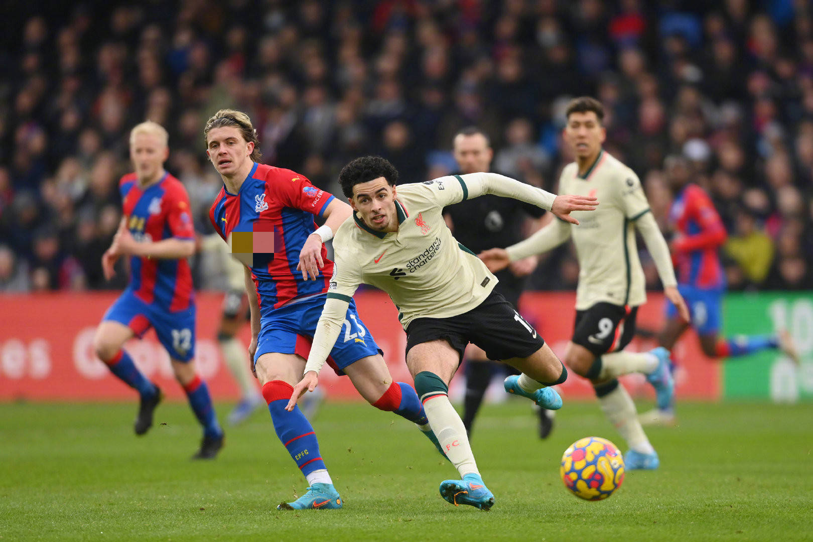 他知道胜利 他知道胜利