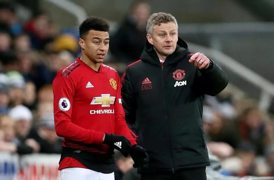 不少球迷在 不少球迷在